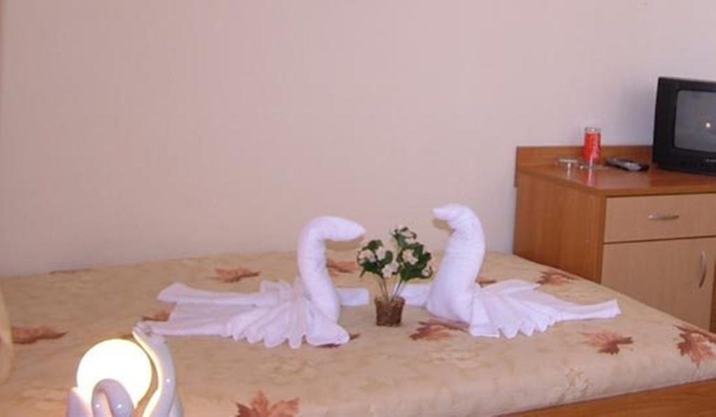 Family Hotel St. Constantine And Helena Ivaylovgrad Ngoại thất bức ảnh